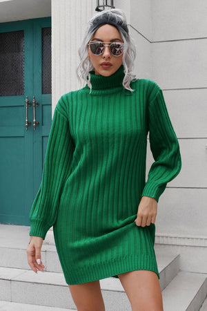 Dark green ribbed turtleneck mini dress with long sleeves.