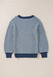Blue striped knit pullover sweater with a crew neck and long sleeves.