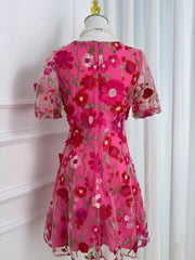 Floral Embroidery V-neck Mini Dress