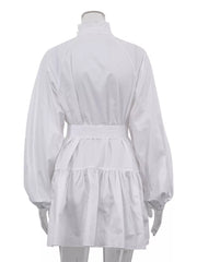 Elegant Balloon Sleeve Mini Dress