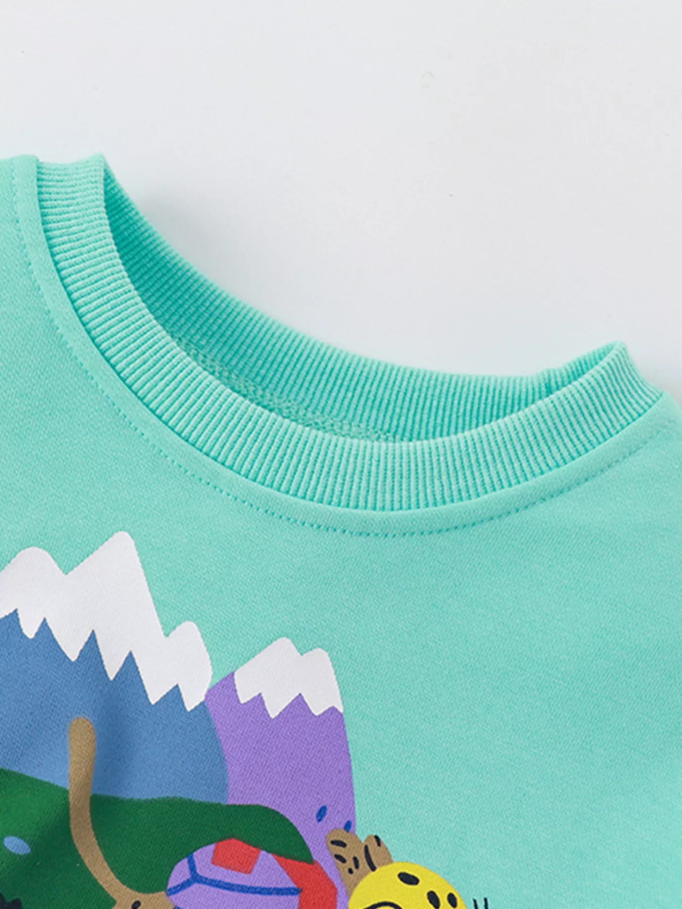 Kids' graphic sweatshirt in mint blue with ribbed crew neck and mountain scene.