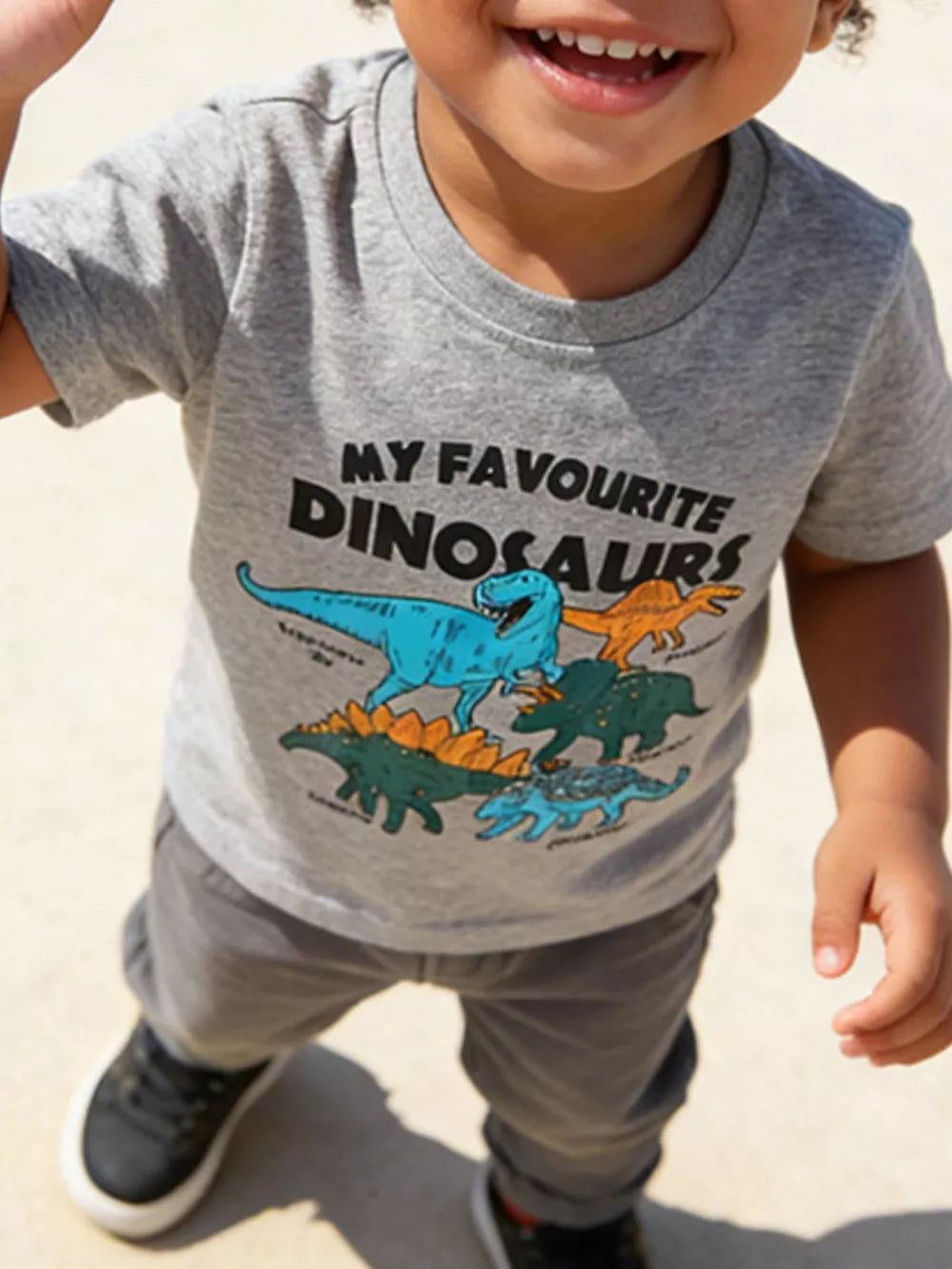 Toddler grey cotton t-shirt with a dinosaur graphic and text.