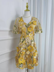Floral Embroidery V-neck Mini Dress