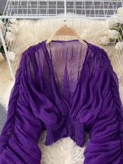 Purple ruched sleeve blouse with deep V-neck and textured bodice.