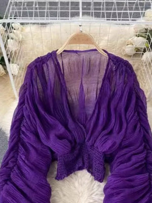 Purple ruched sleeve blouse with deep V-neck and textured bodice.