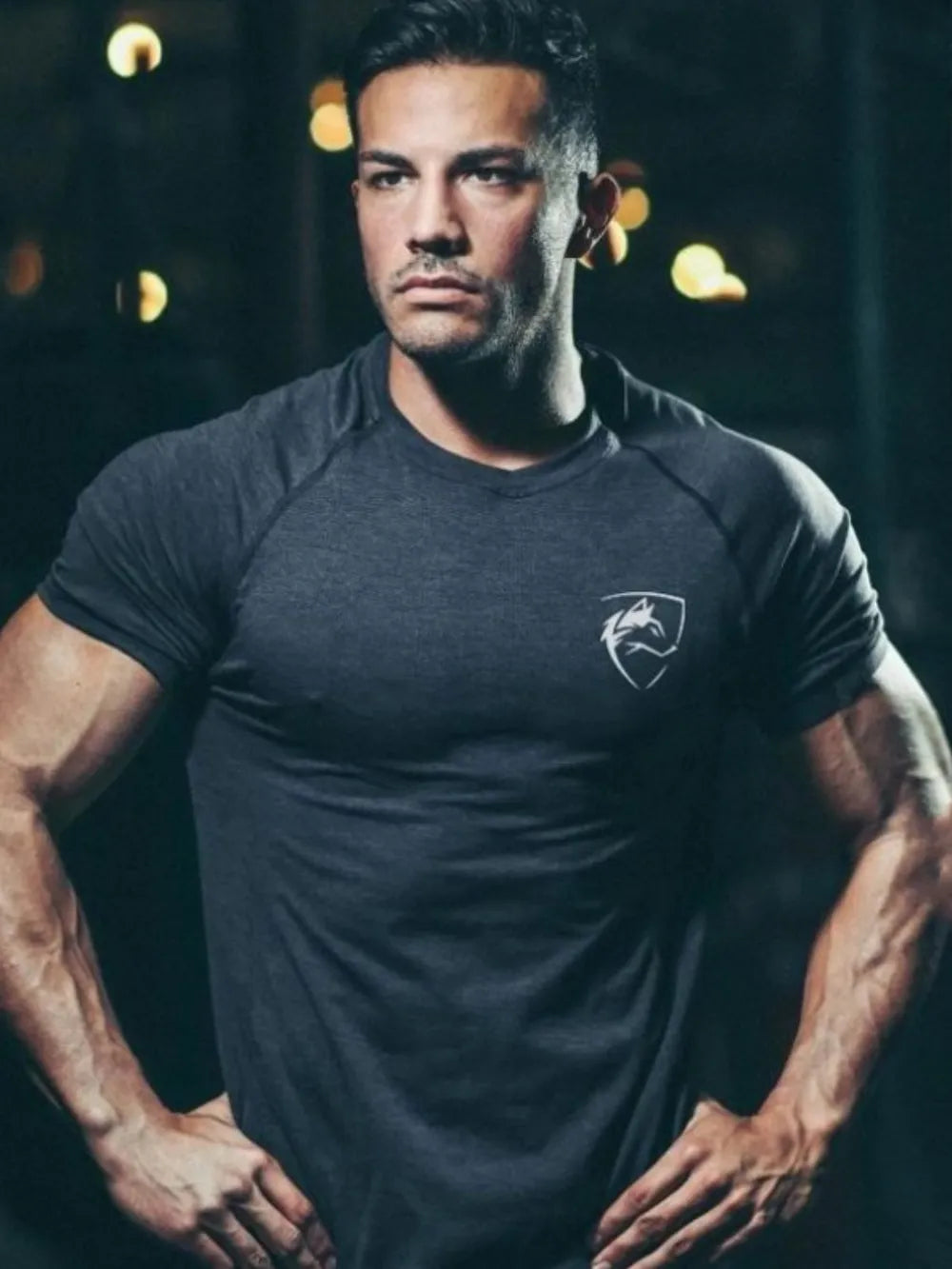 Performance raglan tee in gray with emblem detail and athletic fit