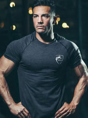 Performance raglan tee in gray with emblem detail and athletic fit