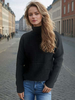 Black relaxed raglan turtleneck knit sweater with ribbed cuffs and hem.
