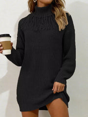 Full Size Turtleneck Fringe Sweater Dress in Burgundy, back view