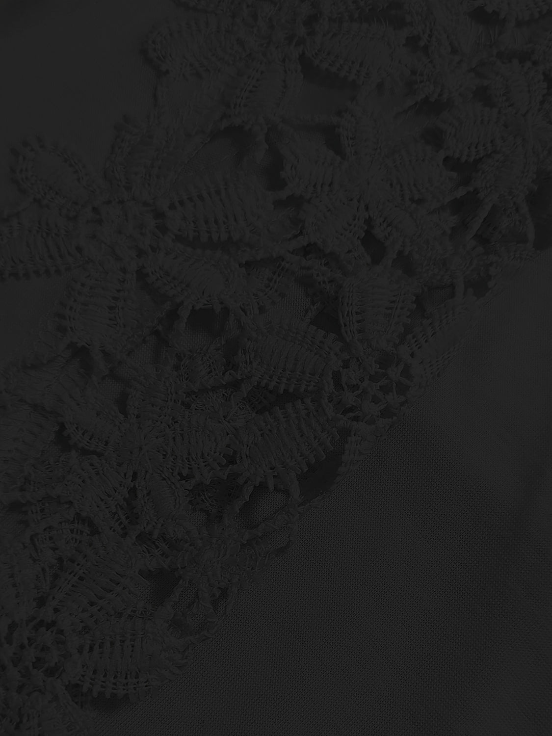 Black lace yoke and sleeve detail blouse