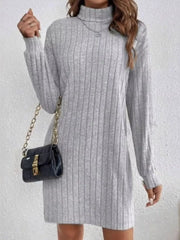 Light gray ribbed turtleneck mini dress with long sleeves and a casual cut.