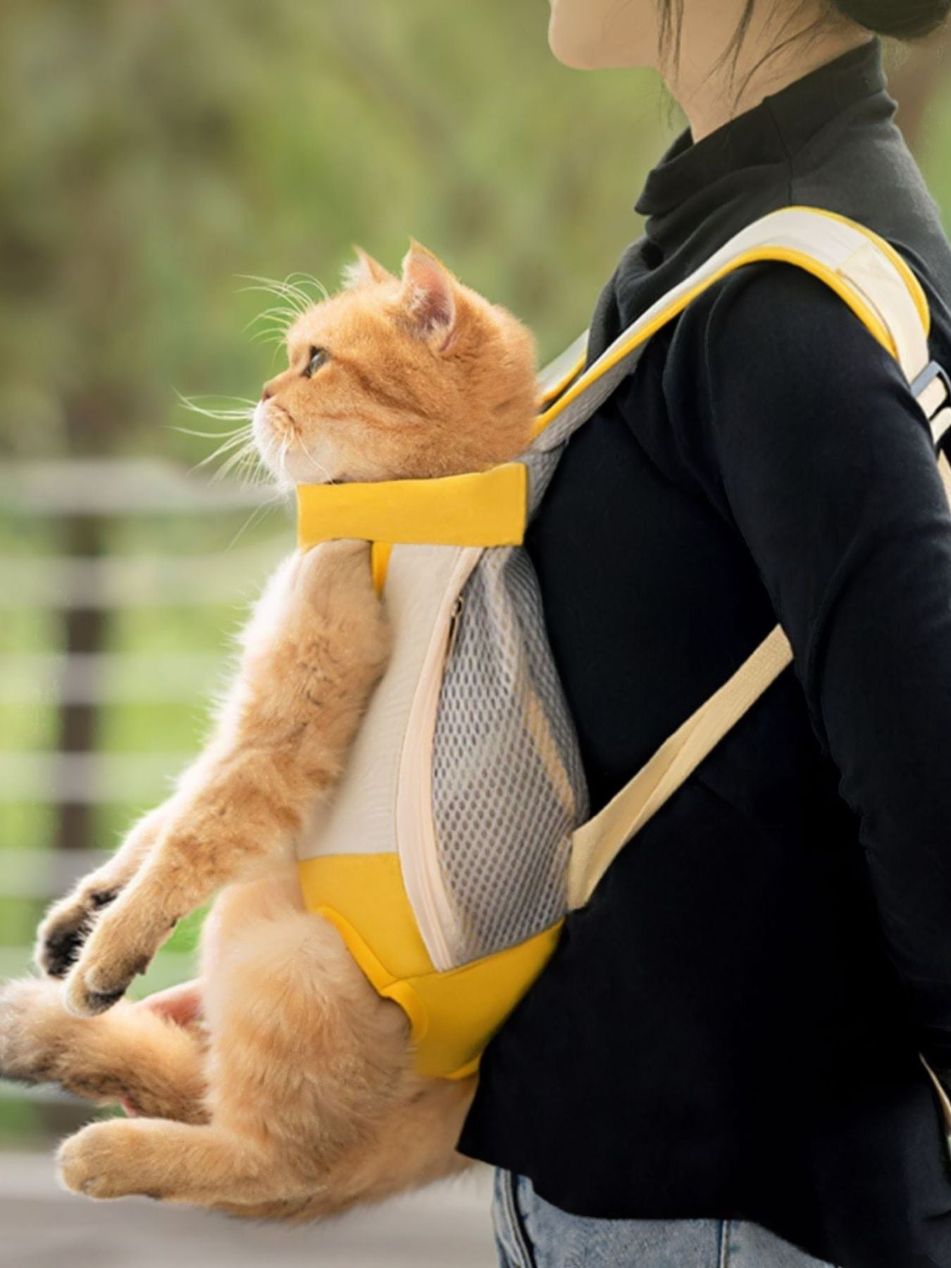 Yellow and white front-pack pet carrier with mesh sides and a cat inside, worn by a person.