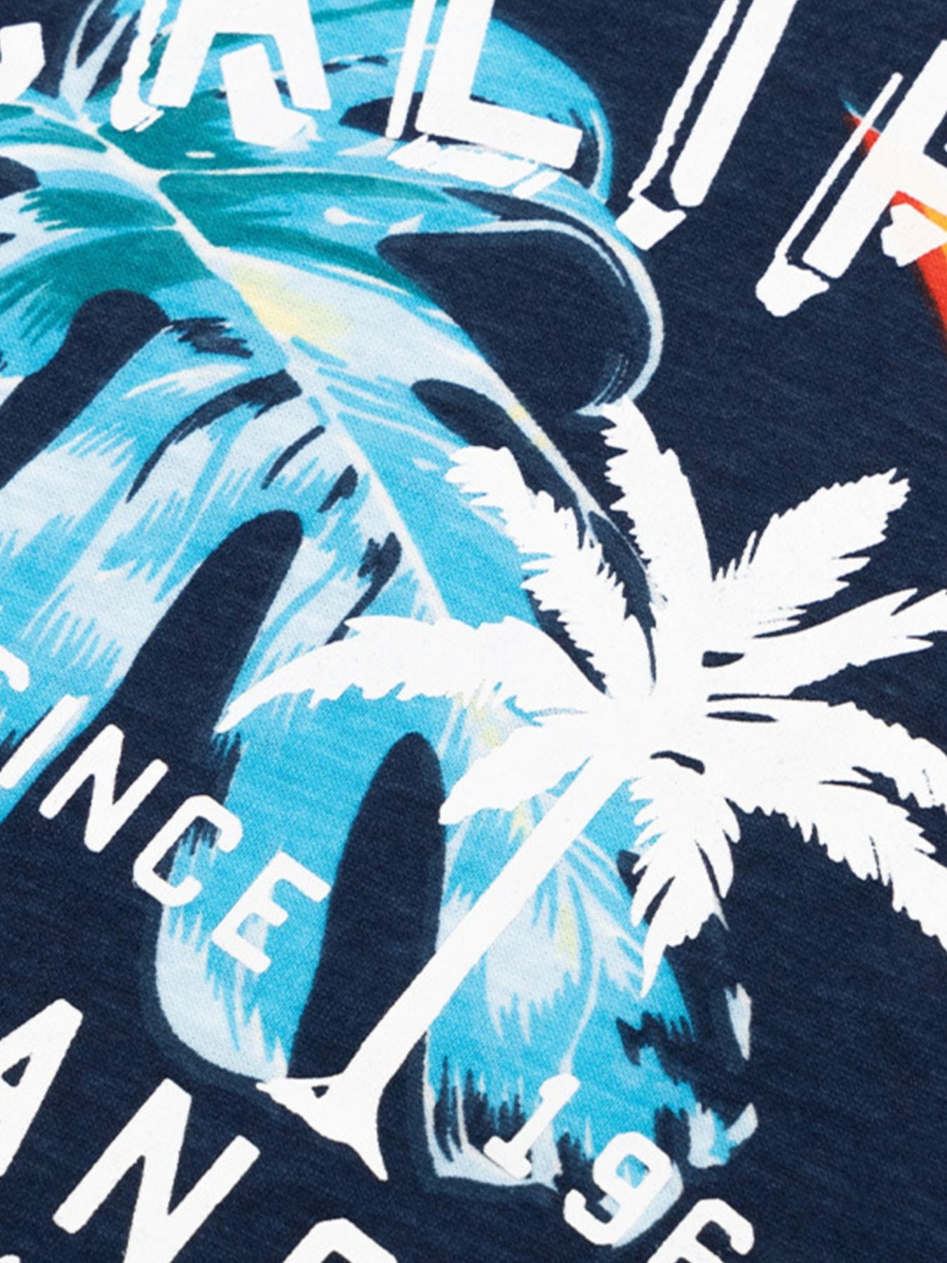 Boys' cotton t-shirt with tropical palm leaf and California text graphic.