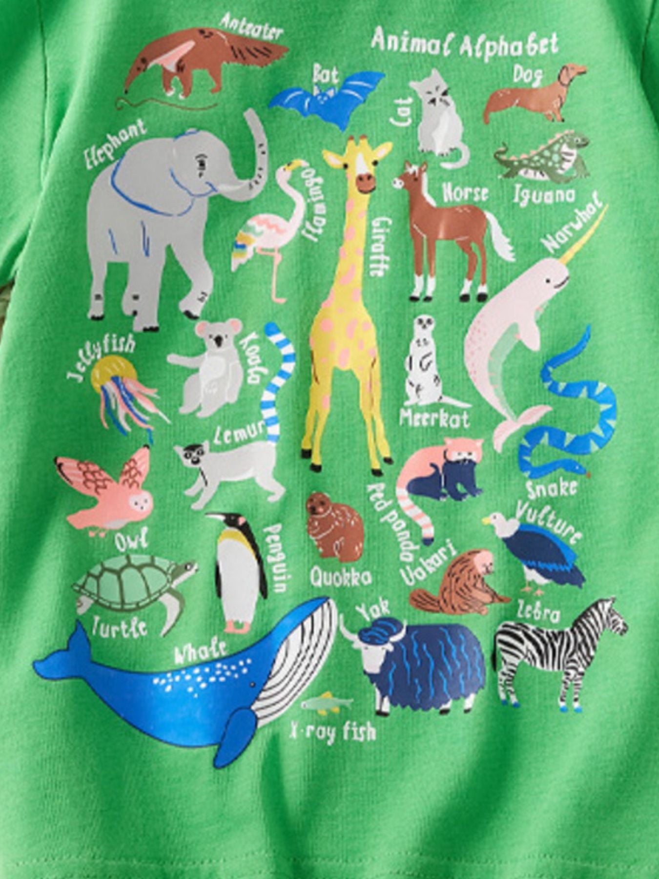 Green cotton t-shirt with playful animal alphabet print, crew neck.
