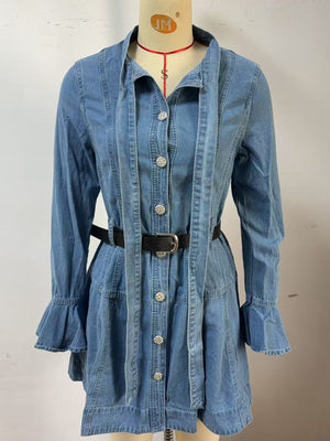 Blue denim dress with button front, tie neck, flounce sleeves, and black belt.