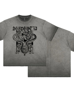 Washed gray oversized graphic tee with serpent and skull design.