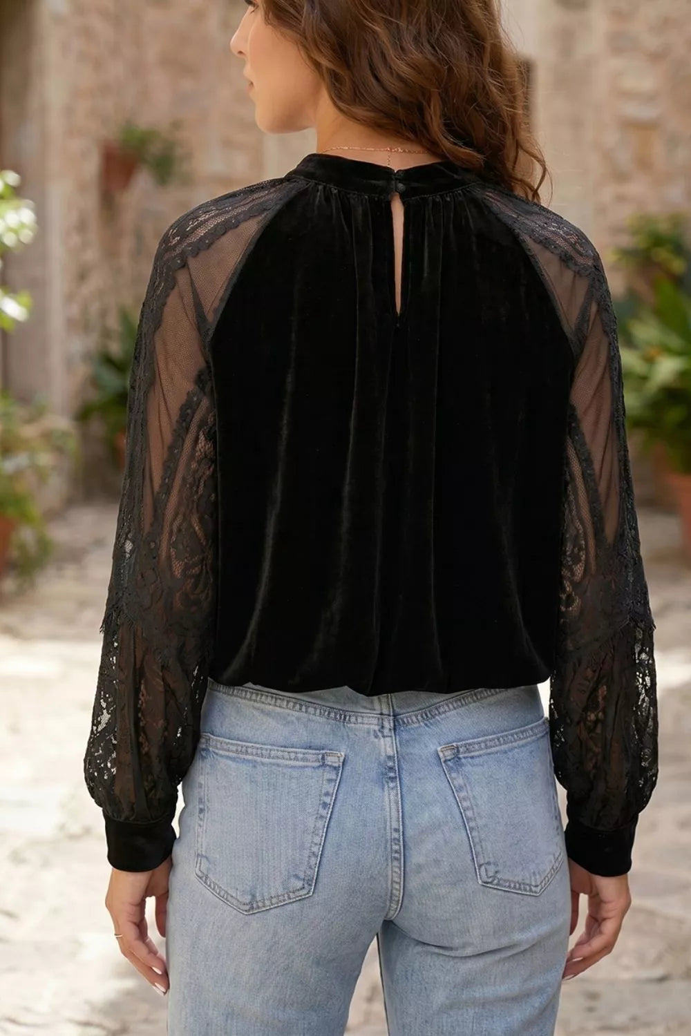 Solid Sheer Lace Velvet Blouse, back view