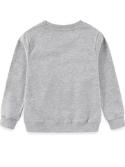 Gray crew-neck sweatshirt with ribbed cuffs and hem.