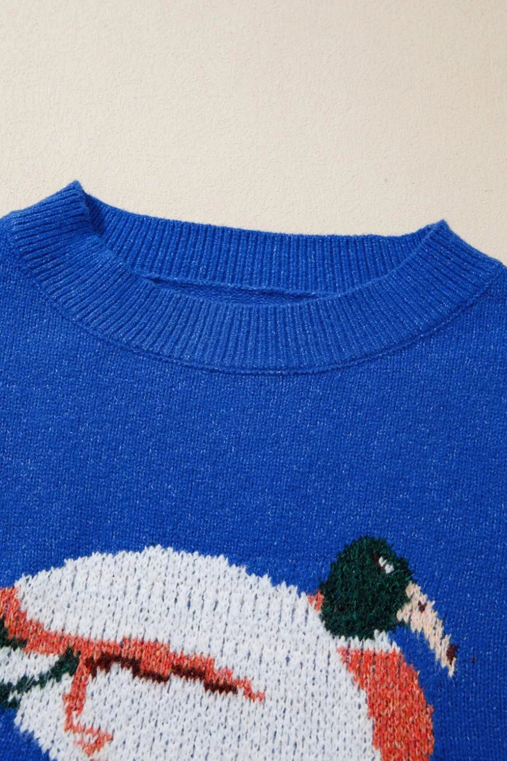 Duck Graphic Drop Shoulder Sweater in Royal Blue, view 11