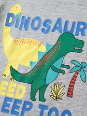 Toddler boys' grey cotton crew neck top with dinosaur graphic print.