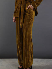 Velvet wide leg pants in tan with a belted waist, part of a pant suit ensemble.
