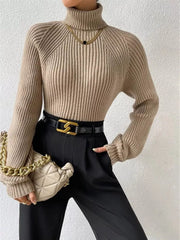 Mocha ribbed turtleneck knit sweater with long sleeves and a classic fit.