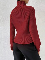 Burgundy ribbed turtleneck sweater with long sleeves and a fitted silhouette.