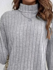 Light gray ribbed turtleneck mini dress with long sleeves and a subtle necklace detail.