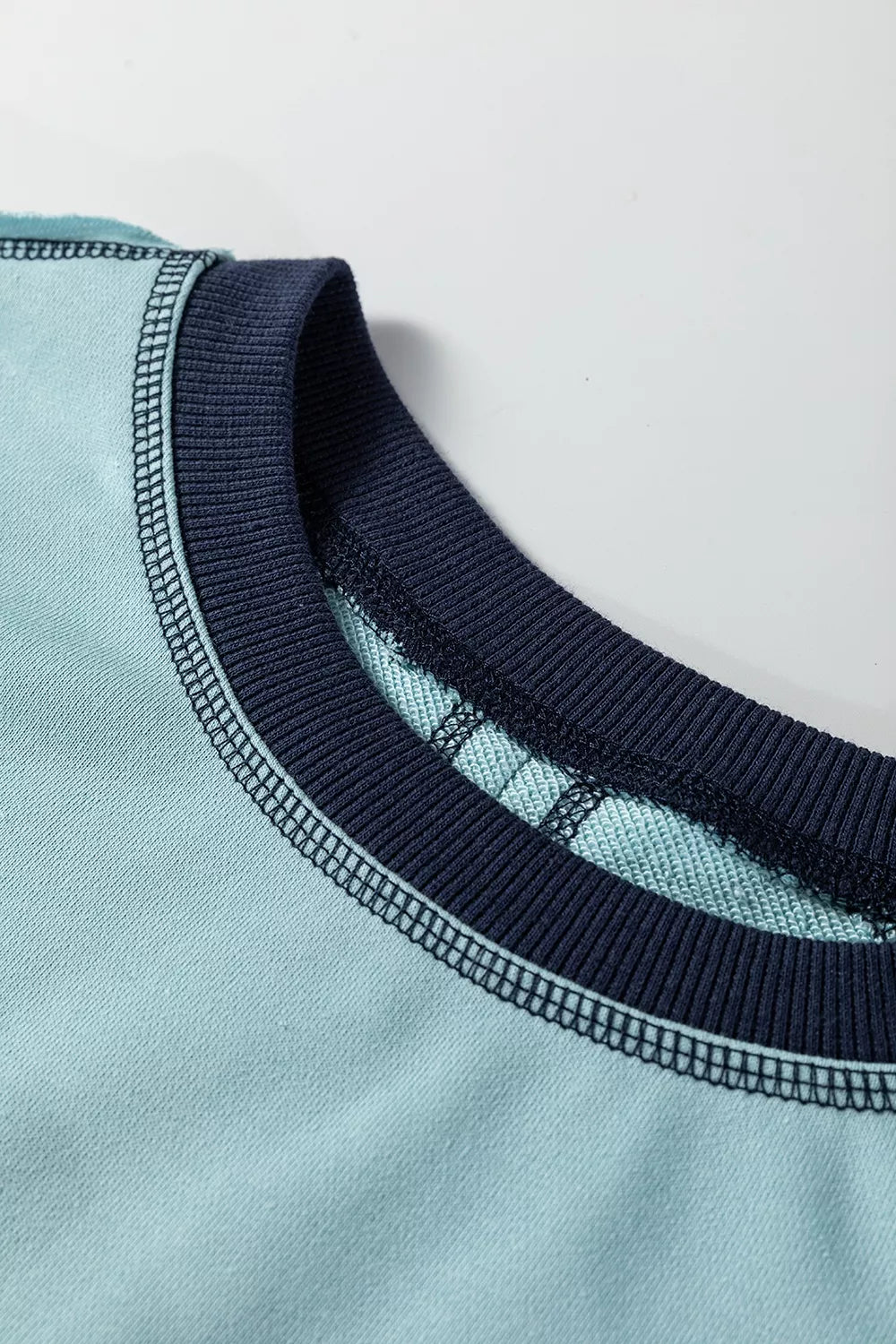 Contrast Edge Colorblock Crop Sweatshirt in Pastel Blue, back view