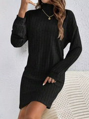 Black ribbed turtleneck mini dress with long sleeves and a casual fit.