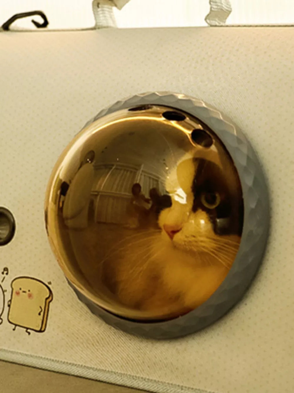Charming bubble window pet carrier with amber tint and cat looking out.