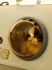 Charming bubble window pet carrier with amber tint and cat looking out.