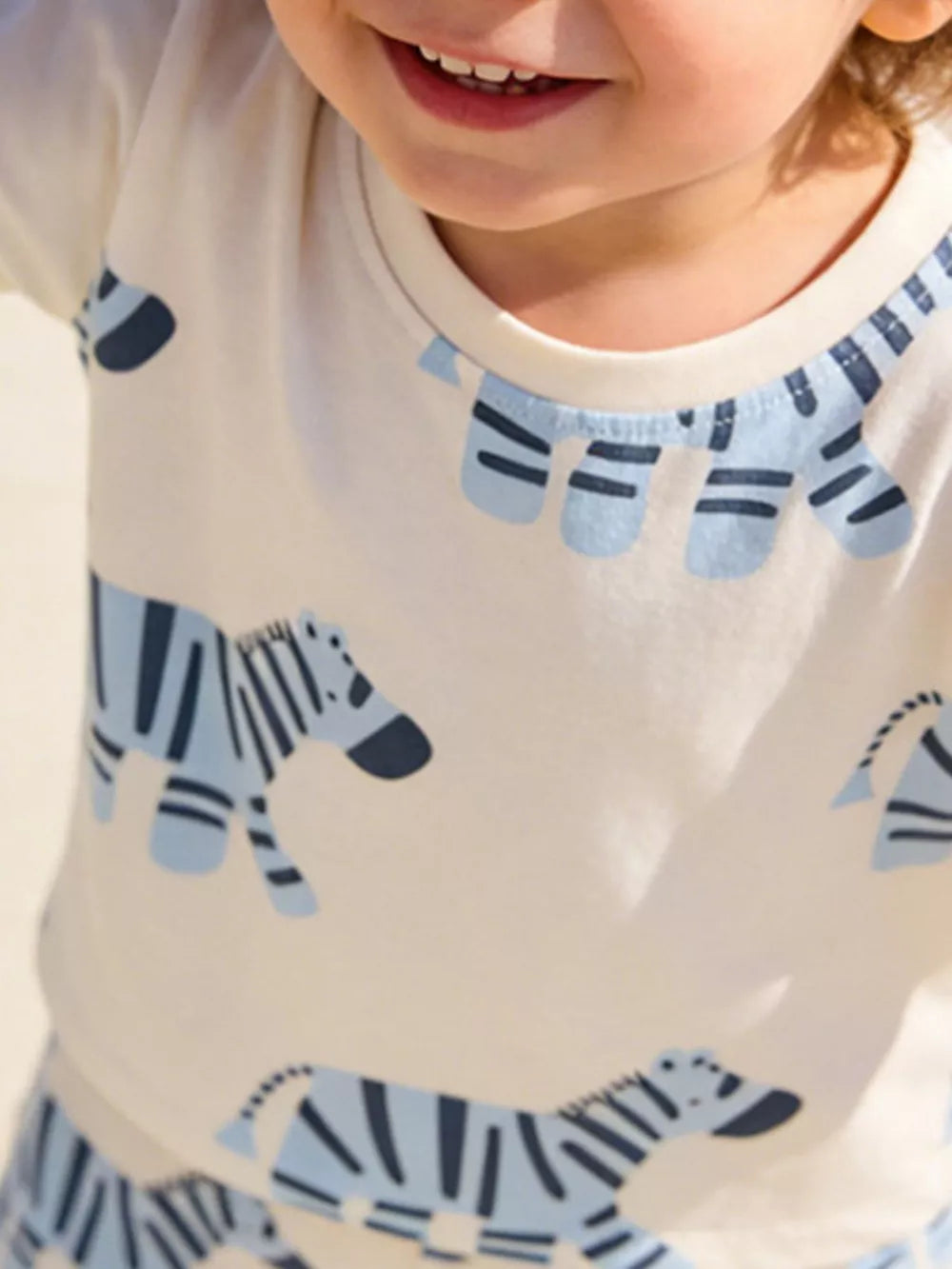 Toddler boys' cotton tee with blue zebra print and crew neck.