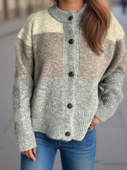 Colorblock crewneck button-down cardigan in acrylic with beige, brown, and dusty blue stripes.