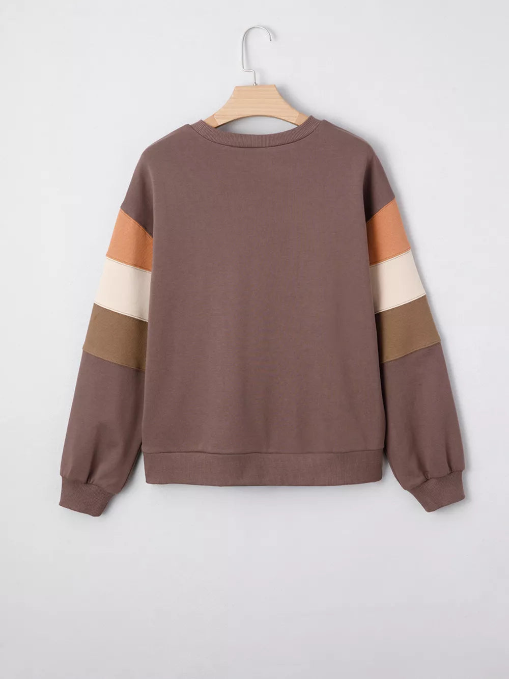 Color Block Drop Shoulder Pullover Sweatshirt in Coffee Brown, alternate angle
