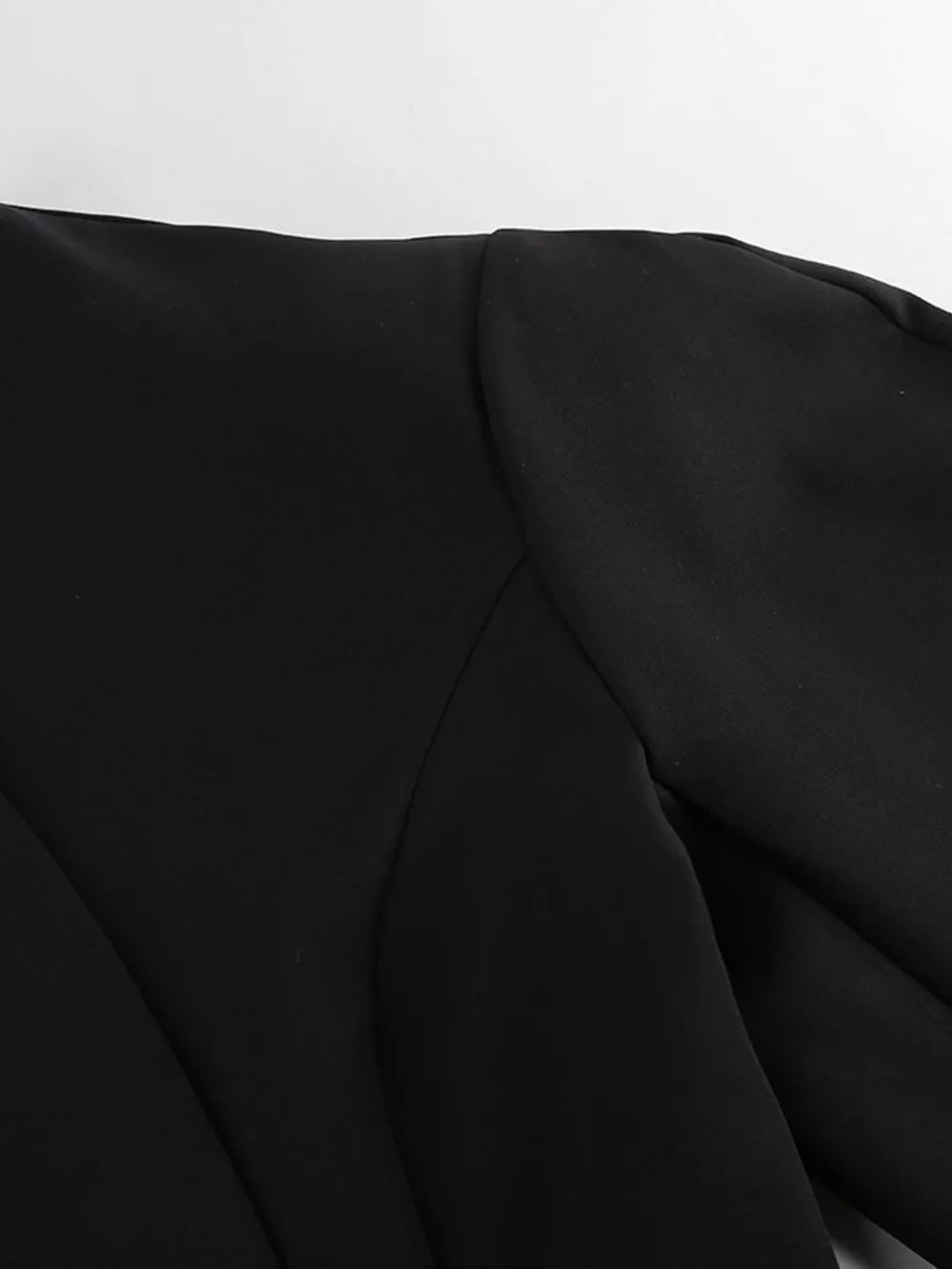 Puffy Sleeve Blazer And Wide-leg Pants Set in Black, view 13