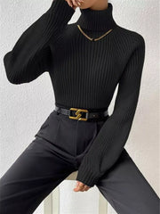 Black ribbed turtleneck sweater with long sleeves and a gold chain necklace.