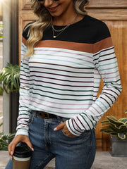 Color block stripe crew neck top with black, brown, and multi-color stripes.