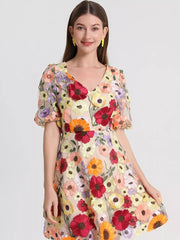 Floral Embroidery V-neck Mini Dress