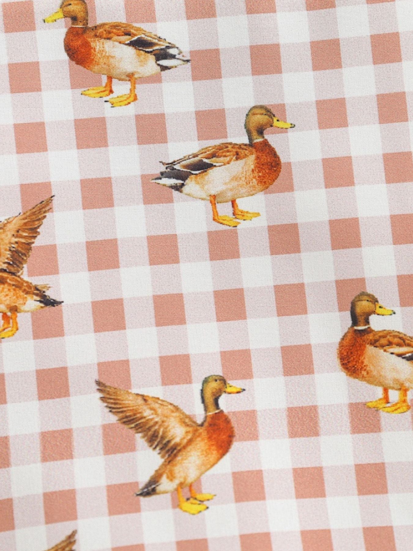 Baby one-piece with duck print on pink gingham cotton blend fabric.