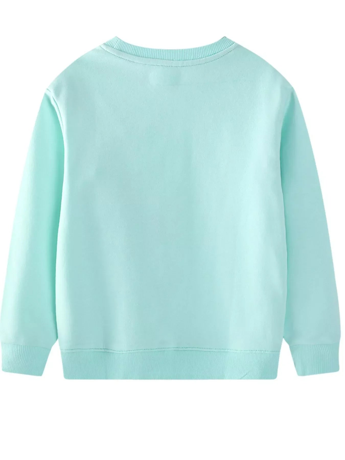 Aqua crew neck sweatshirt with embroidered flower detail
