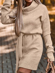 Turtleneck Belted Knit Dress in Khaki, back view