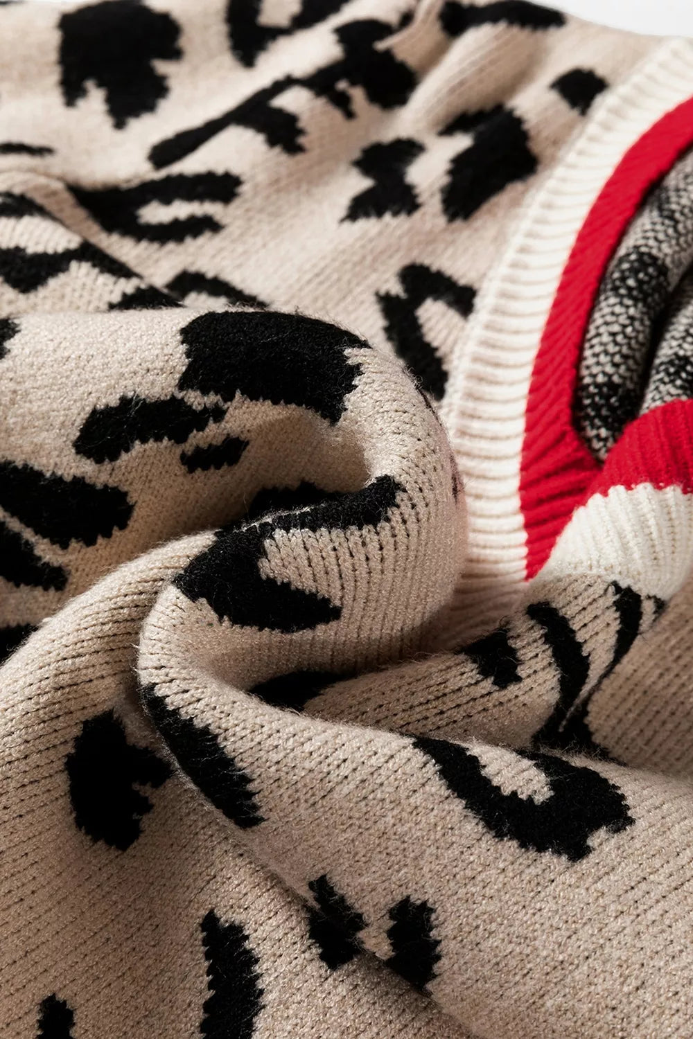 Leopard Pattern V-neck Ribbed Sweater in Leopard, product detail
