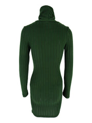 Green ribbed turtleneck bodycon mini dress with long sleeves.
