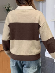 Color Block Polo Collar Sweater in Coffee Brown, back view