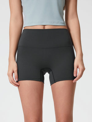 Nova Rise High-Motion Shorts in Graphite Gray with a seamless high waist and mid-thigh length.