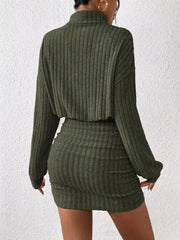 Moss ribbed turtleneck mini dress with long sleeves and bodycon fit.