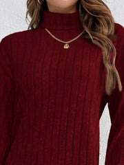 Burgundy ribbed turtleneck mini dress with long sleeves, featuring a gold necklace.