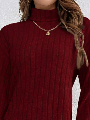 Burgundy ribbed turtleneck mini dress with long sleeves, featuring a gold necklace.