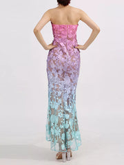 Ombre Floral Embroidered Maxi Dress